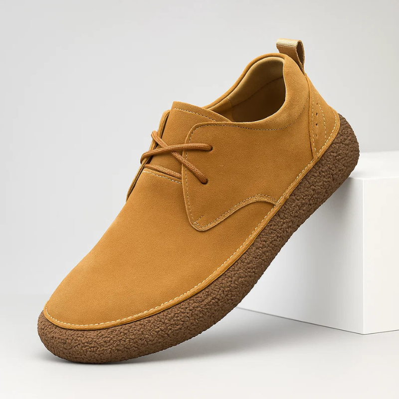 Dax Suede Shoes